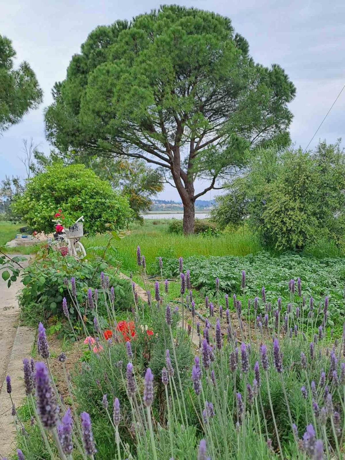 Corfu Lake House Kanoni  Zewnętrze zdjęcie